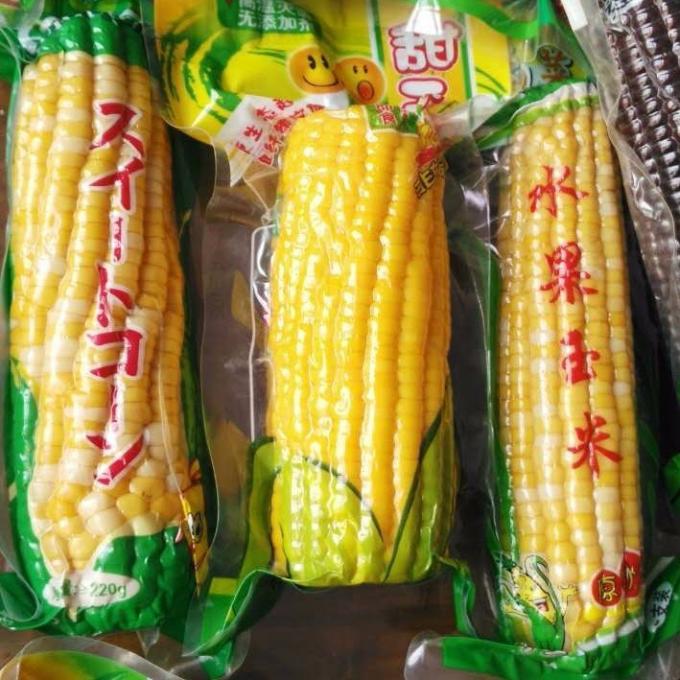 평패널 이중 챔버 진공 포장기